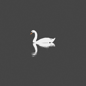 七色导航精品国产AV
