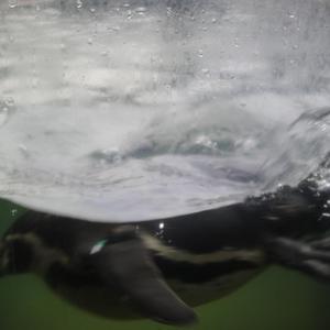 七色导航精品国产AV
