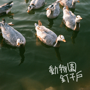 七色导航精品国产AV
